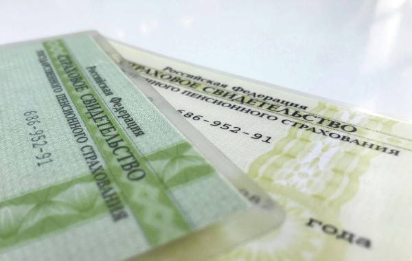 Материнский капитал &mdash; 2025: сумма выплаты и на что ее можно потратить