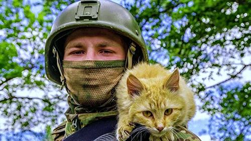 Своих не бросаем, даже если это коты